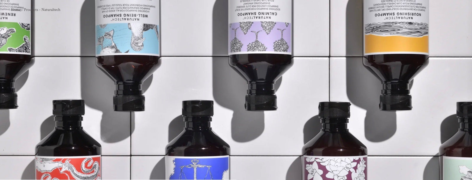 REBALANCING for oily Hair