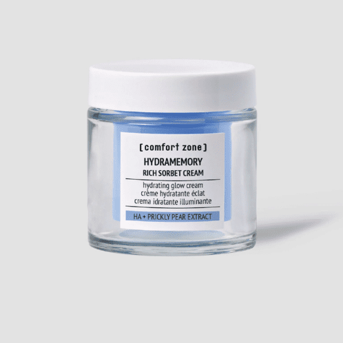 HYDRAMEMORY RICH SORBET CREAM - Refillable hydrating glow cream